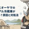 キャンプ場の車のそばで冷えない飲み物や食品を確認して困っている男性