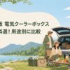 湖畔のキャンプ場で車のそばに座り 冷たい飲み物や食事を楽しむ家族